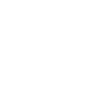 Wheelchair white icon