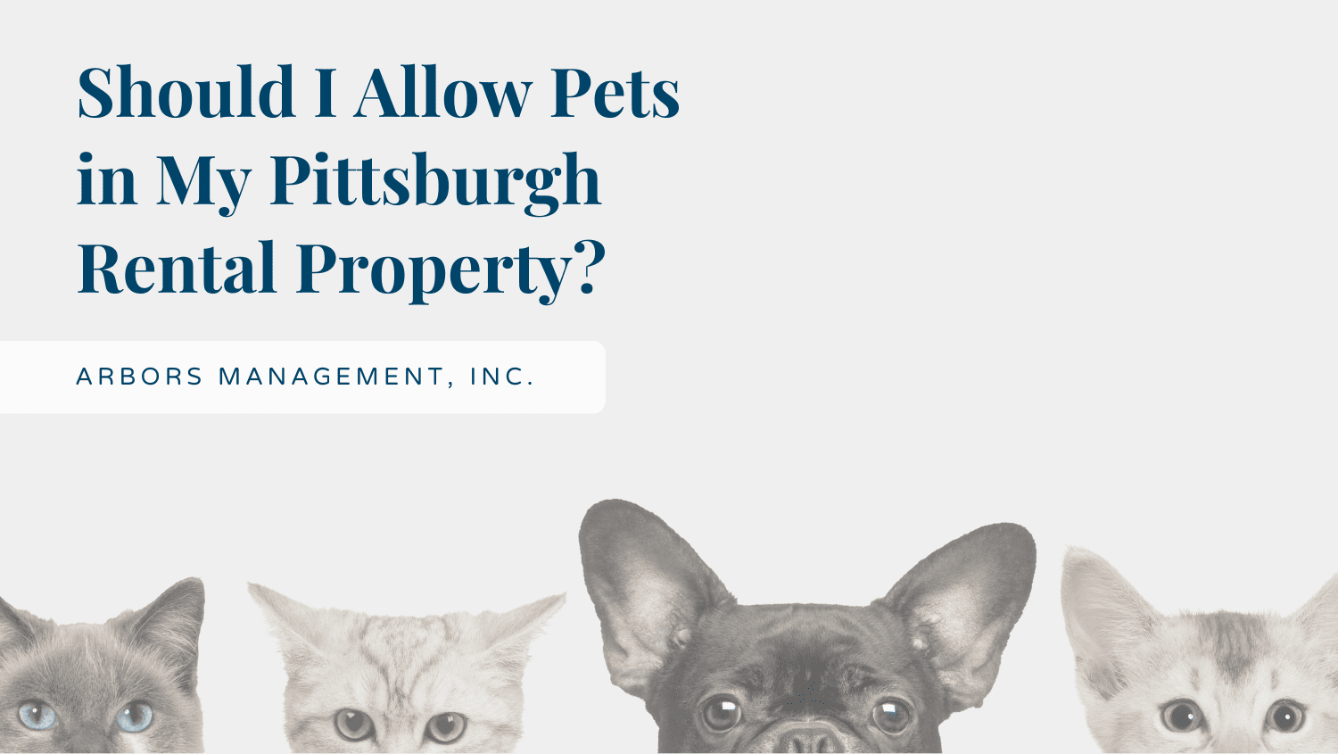 Image is of the title of the blog post "Should I Allow Pets in My Pittsburgh Rental Property?" Image has the faces of three cats and one dog.