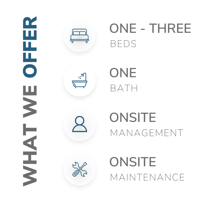 what we offer What we offer